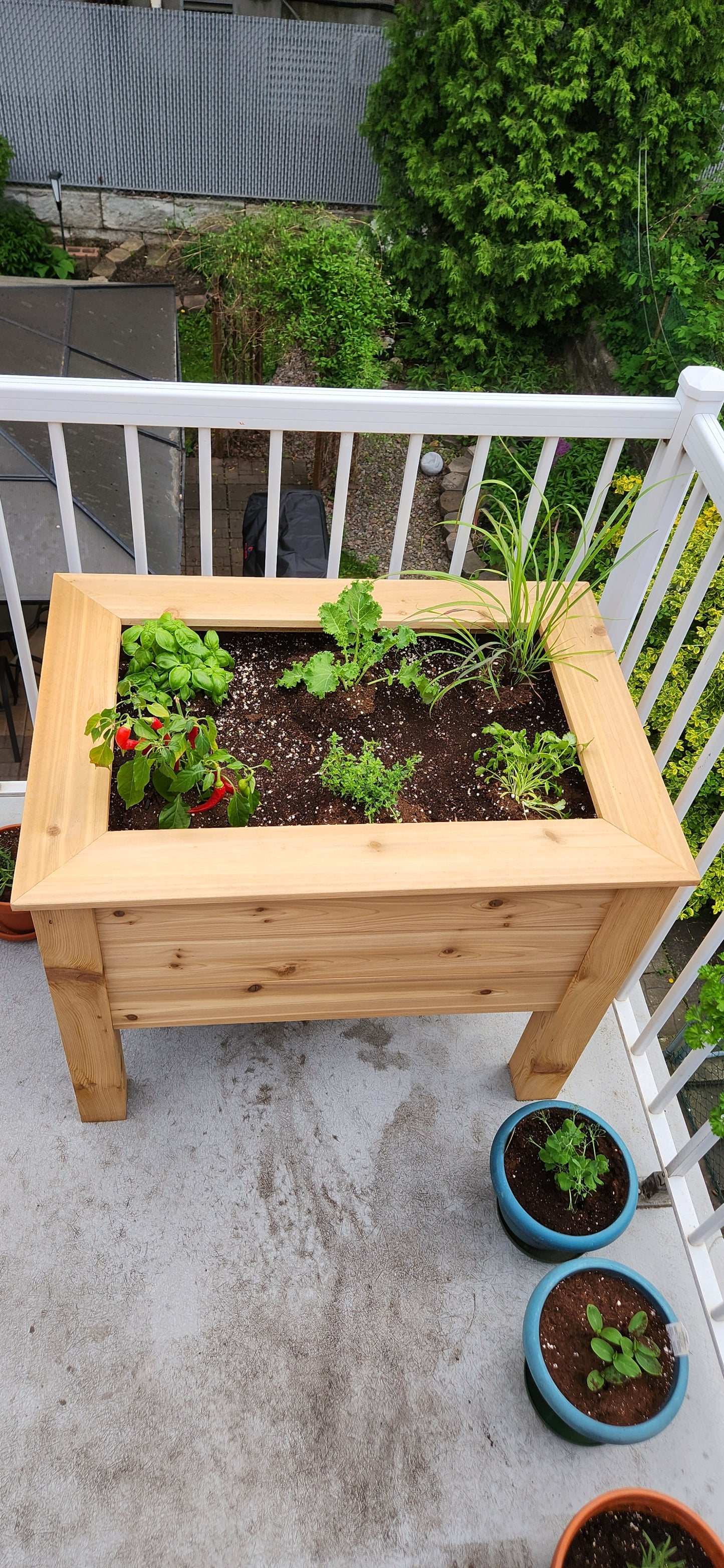 Oh Ouais jardinière en cèdre